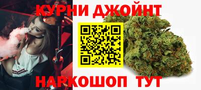 крисы Новодвинск