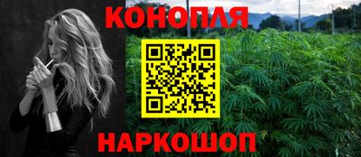 крисы Новодвинск