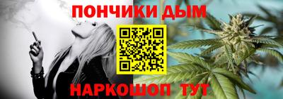 крисы Новодвинск