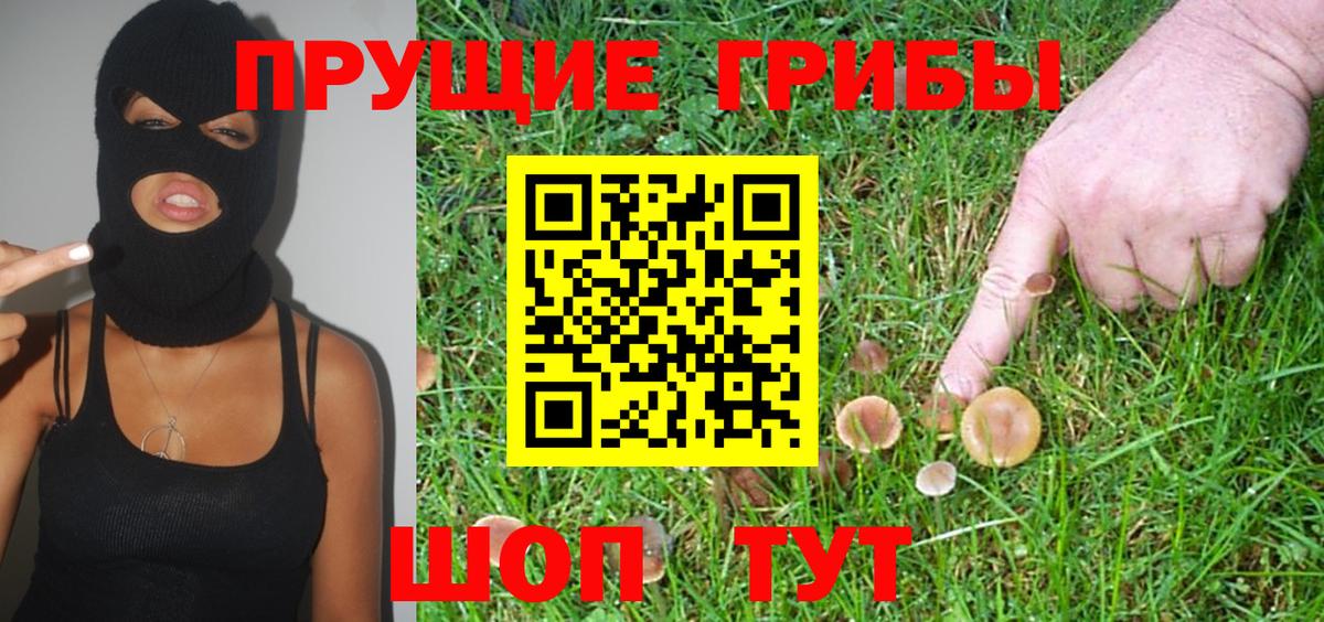 Псилоцибиновые грибы прущие грибы Ревда